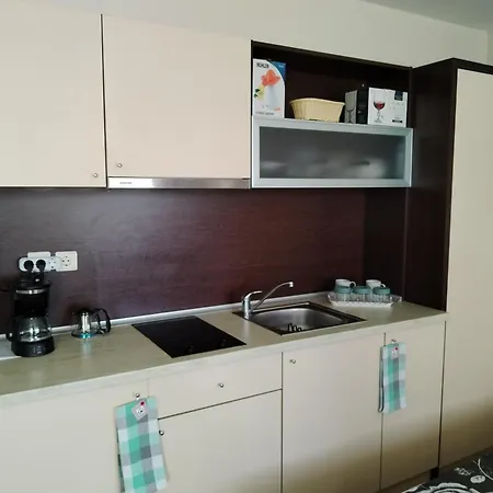 Golden Apartment Varna