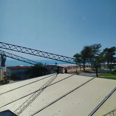 Golden * Varna